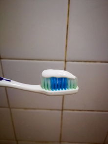 福建佳期對粉臻白亮齒牙膏使用效果的評價 臻白亮齒，笑容自信的秘密武器